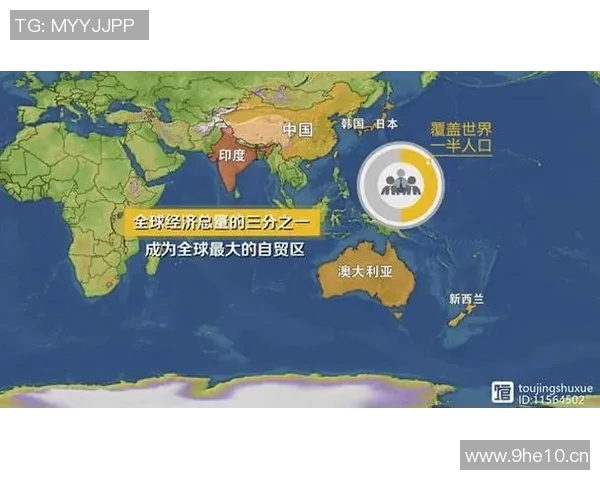 以全球经济合作为纽带推动区域一体化发展的新型联盟模式探索与实践